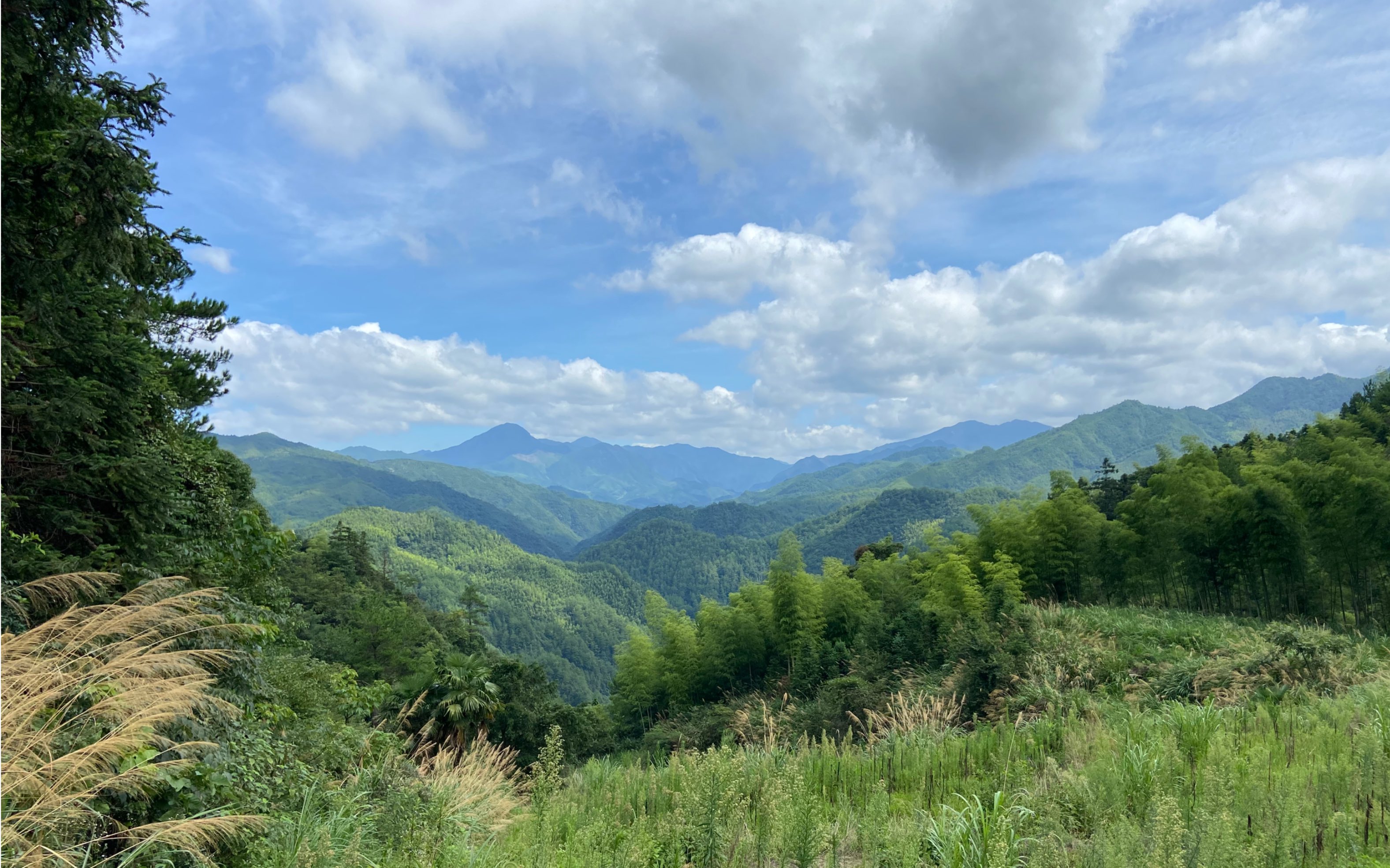 美丽的浙江龙泉!好山好水风景秀丽.爬山玩水抓鱼放烟火!
