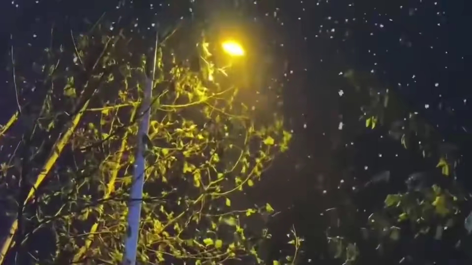 就是下小雪吧,济南是受不住大雪的,那是小山太秀气
