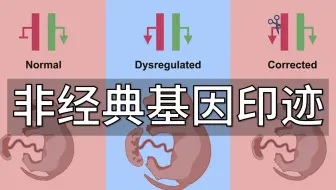 表观遗传系列-9. 非经典基因印迹：颠覆传统观点，谁说印迹基因只能受DNA甲基化控制？