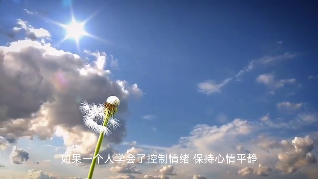 一个人学会了控制情绪,保持心情平静,时常面带微笑他就是成熟而优雅的