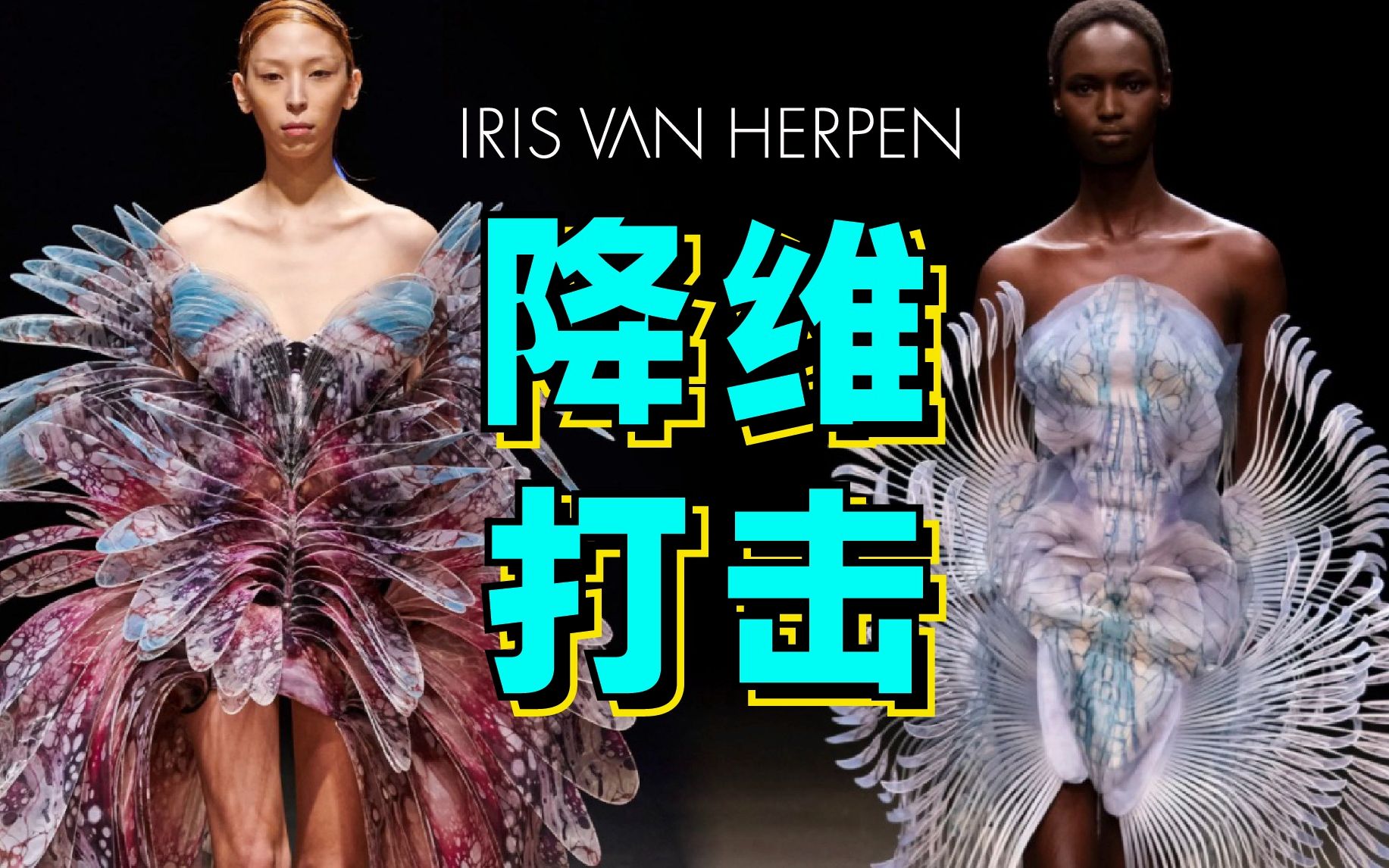 理科女学霸转行做时尚设计有多厉害!深度解析【Iris Van Herpen艾里斯ⷨŒƒⷨ𗦜짧€场】哔哩哔哩bilibili