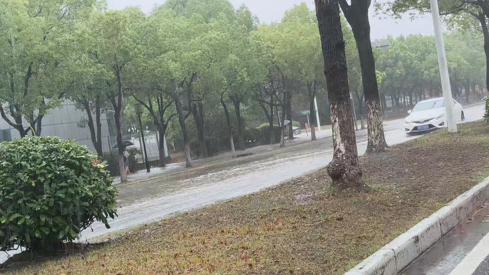 白海豚暴雨下，2026年8月10日早高峰，无锡新吴区长江南路