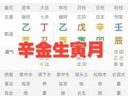 下载视频: 八字辛金生寅月如何取用？