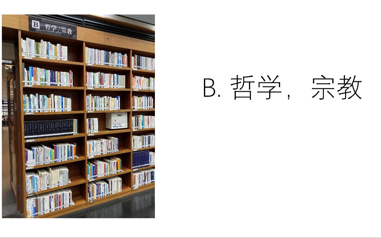 学习人类所有知识  B. 哲学与宗教哔哩哔哩bilibili