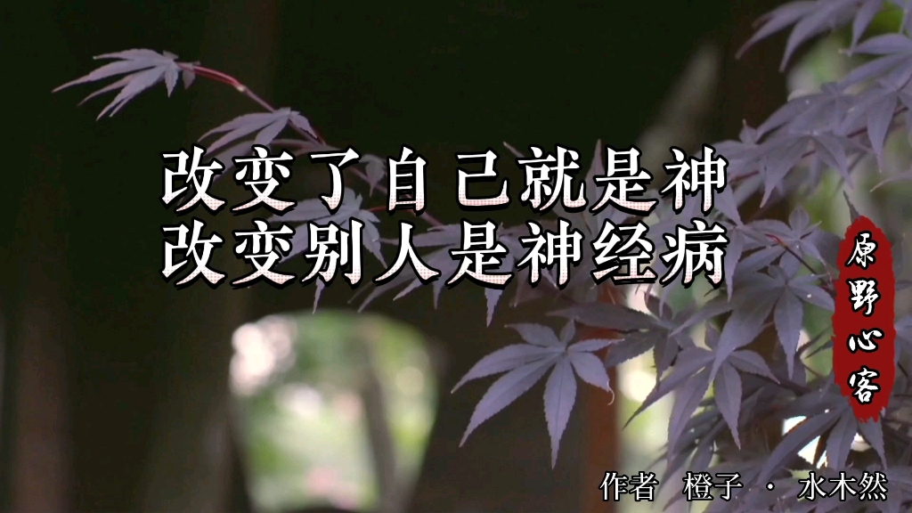 对人过高的期待会徒增自己的烦恼因为他人没有实现你期待的义务