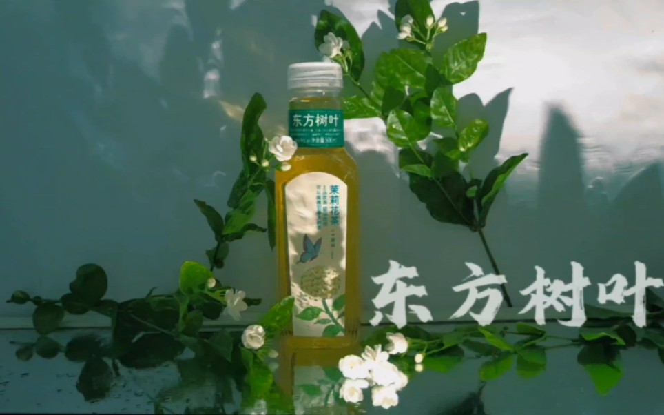 大学生广告学作业-东方树叶