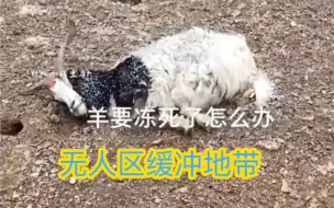 下载视频: 无人区缓冲地带