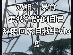 Download Video: 双相➕暴食要被摧毁的自己辞职回家自救中vlog