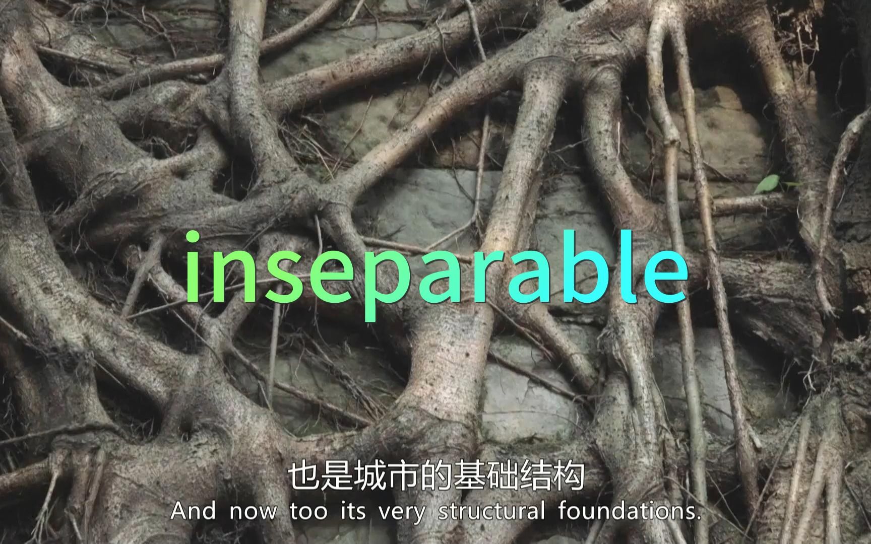 考研单词inseparable哔哩哔哩bilibili