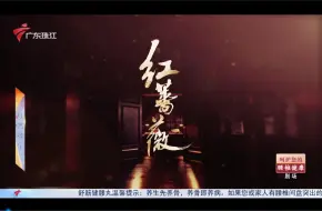 下载视频: （粤语内地剧）红蔷薇1080P字幕版