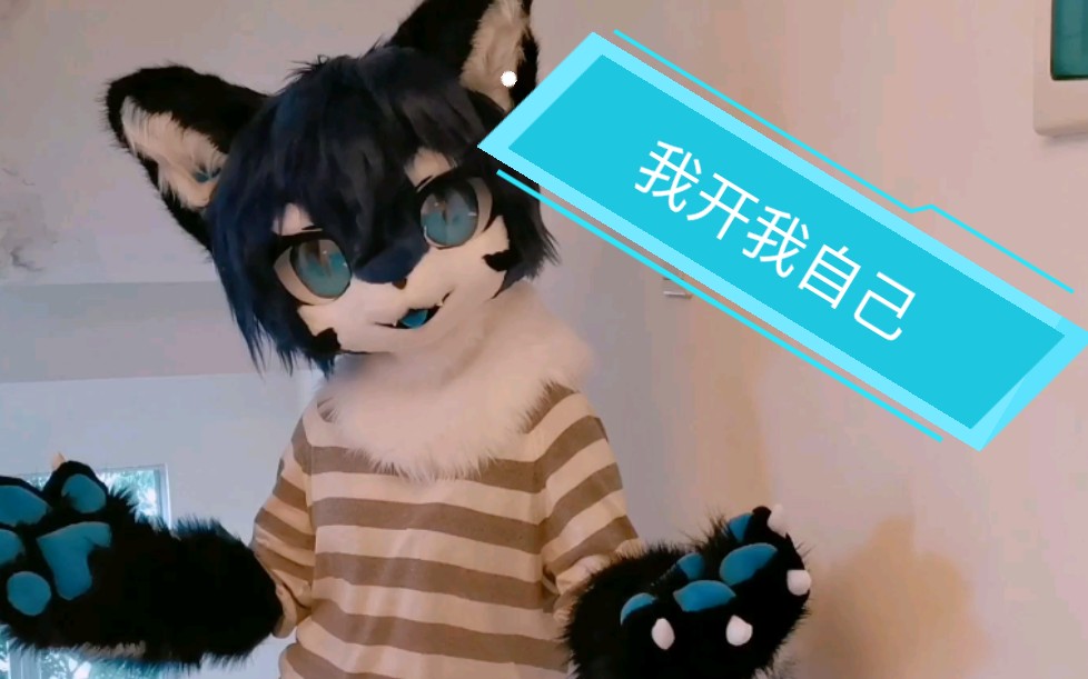 【兽装/fursuit】新保岛 兽装开箱 我开我自己!哔哩哔哩bilibili