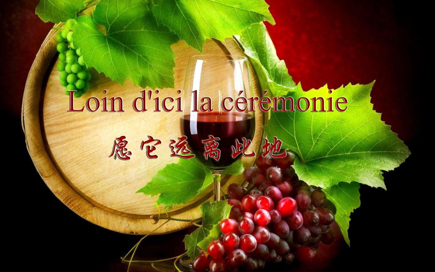 愿它远离此地(Loin d'ici la c㩲㩭onie)哔哩哔哩bilibili