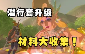 Descargar video: 【塞尔达传说】潜行套升级材料大收集！