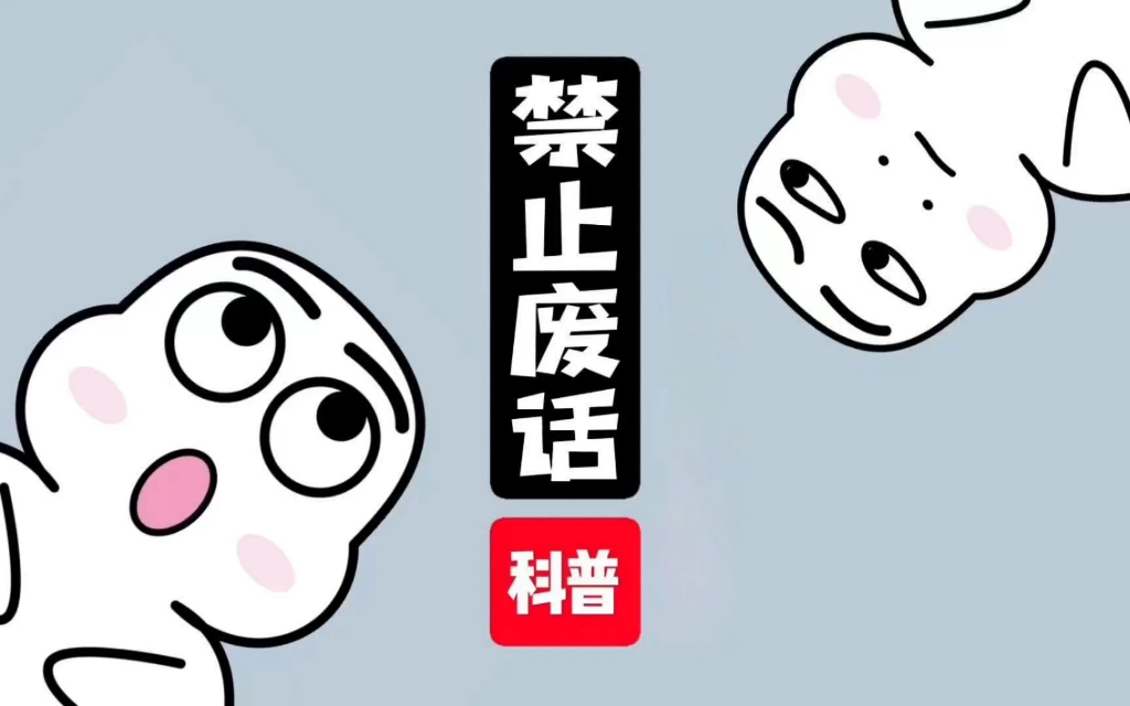 猫能喝酒么?哔哩哔哩bilibili