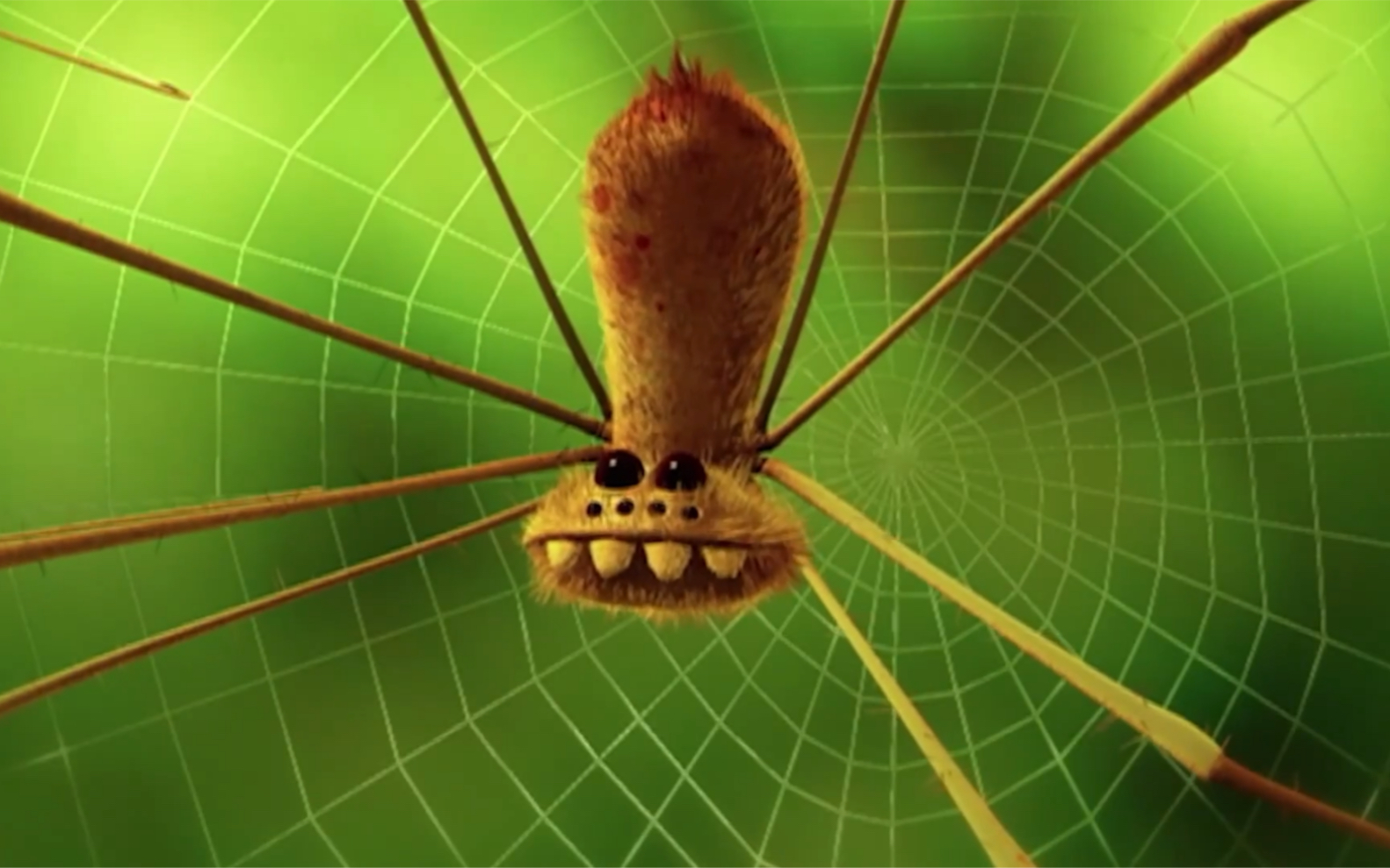世界上最搞笑的虫子图片