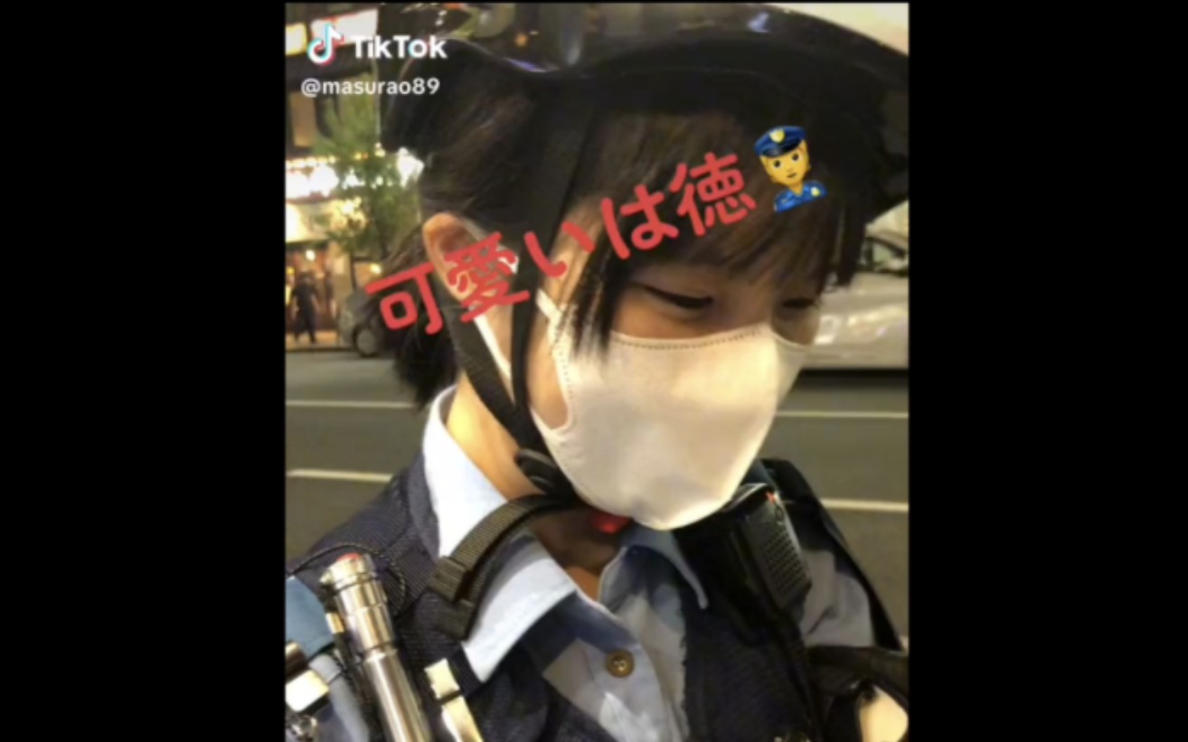 【日本女警系列】女警:为什么犯法?为你的可爱而犯法哔哩哔哩bilibili