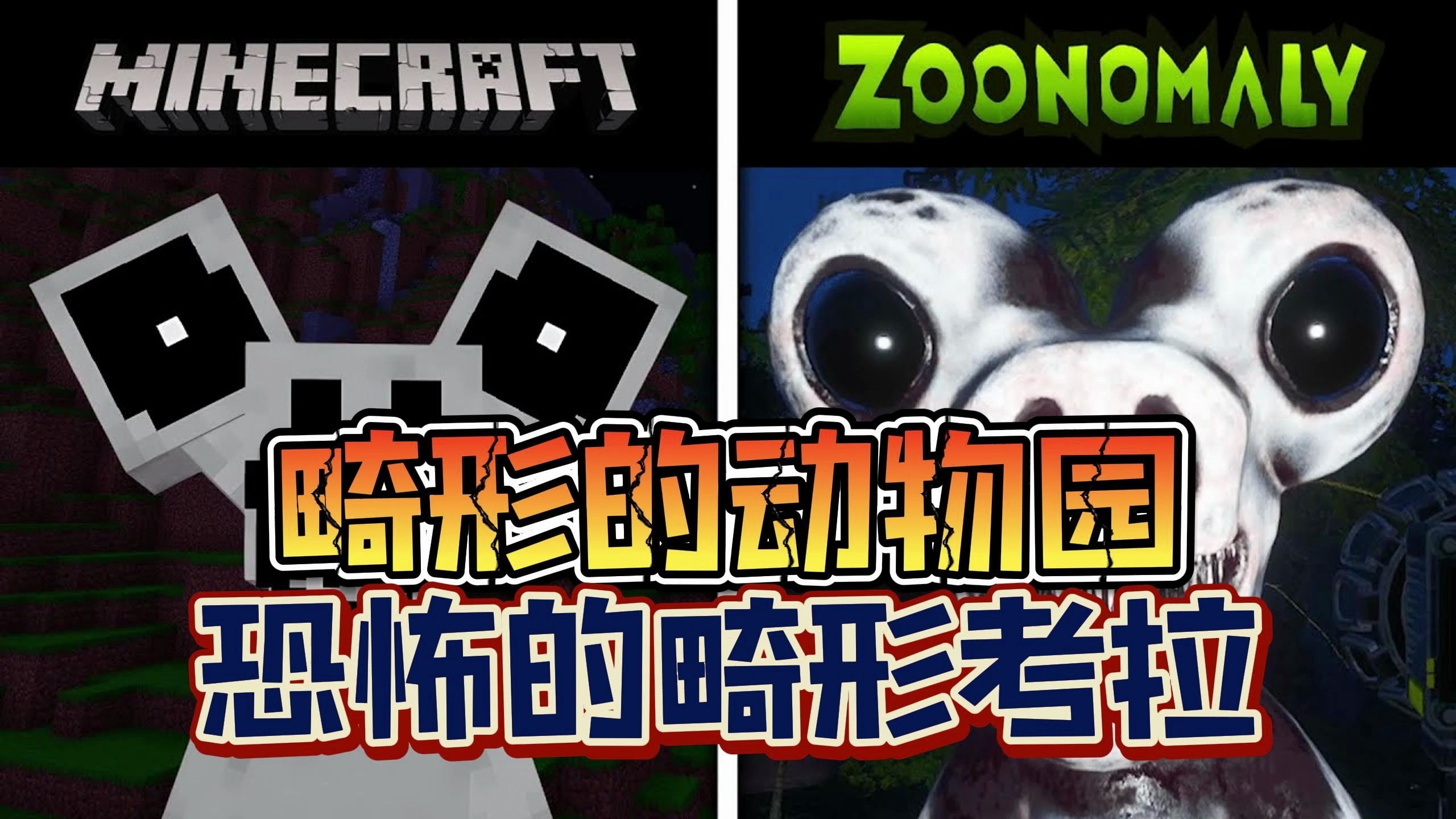 《畸形动物园》之可爱的畸形考拉!