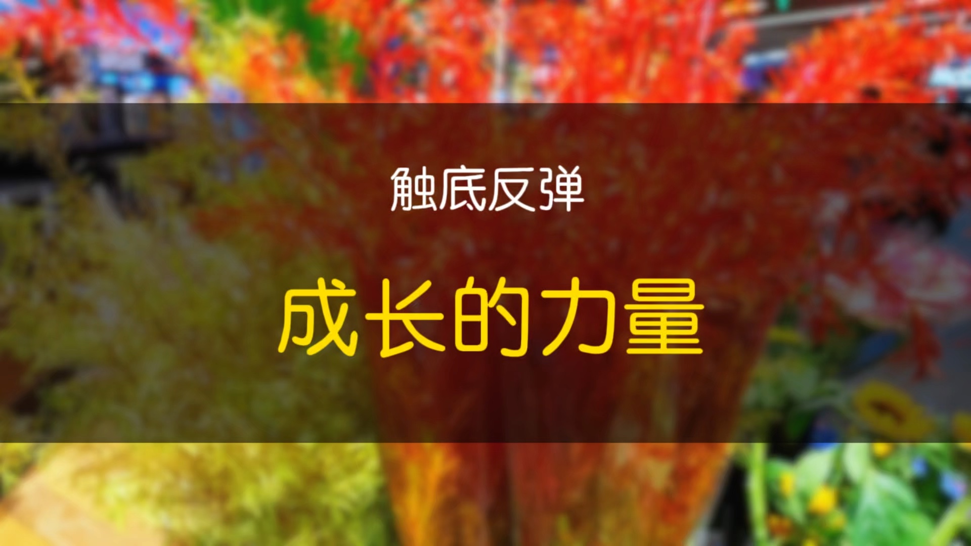 触底反弹:成长的力量