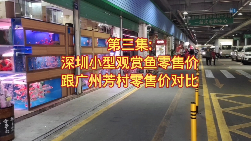 深圳观赏鱼零售价,跟广州芳村观赏鱼价格对比,差距可大至10倍哔哩哔哩bilibili