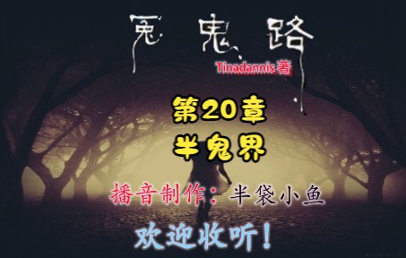 [图]冤鬼路 第20章 半鬼界 校园鬼故事！Tinadannis/著 有声书！