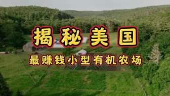 下载视频: 美国农场传奇：八亩地的奇迹，年收入超越35万！