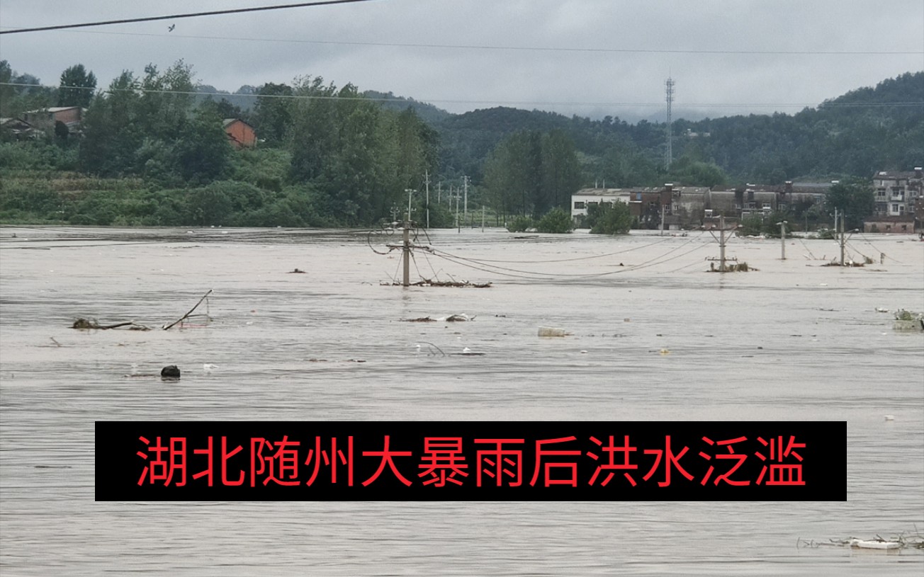 湖北随州大暴雨后洪水泛滥_哔哩哔哩_bilibili
