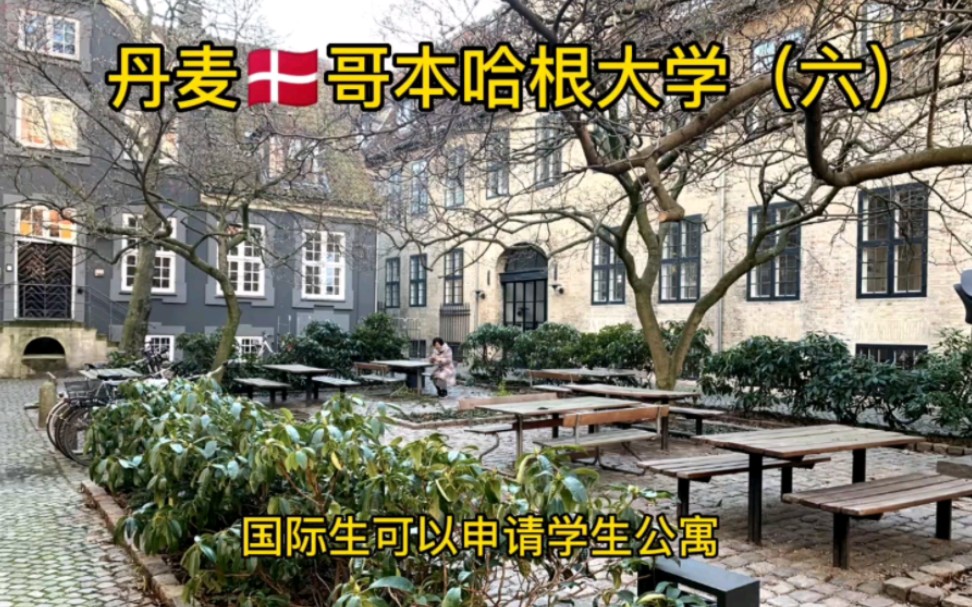 丹麦留学/丹麦大学申请/哥本哈根大学(六) 国际生可以申请学生公寓哔哩哔哩bilibili