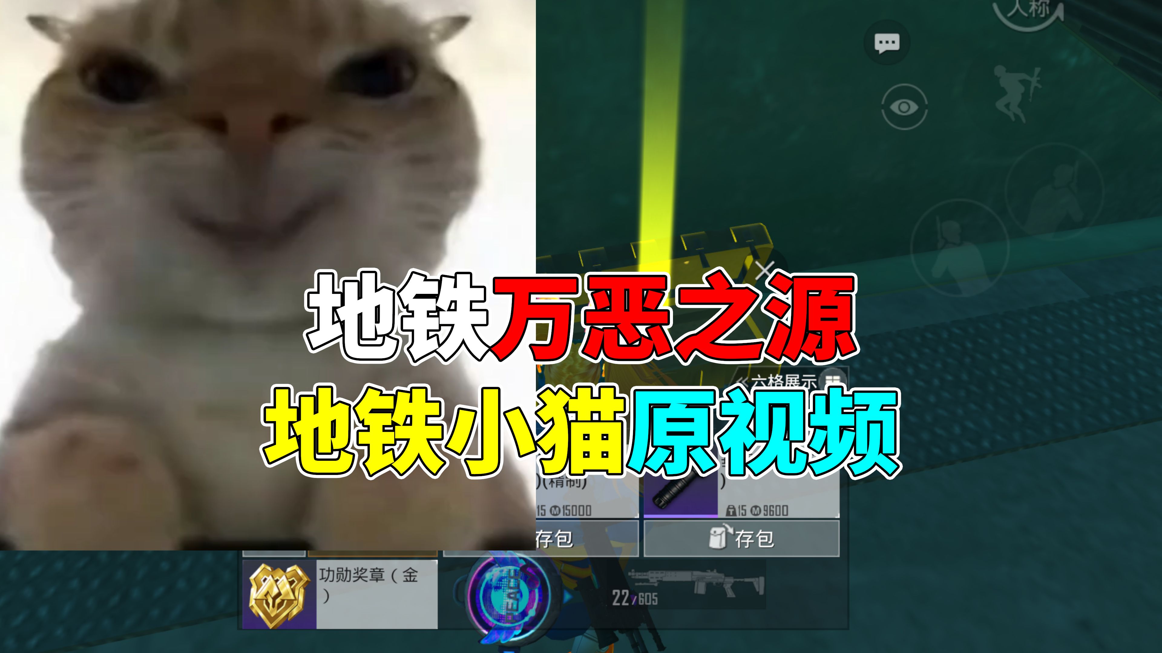 [图]地铁小猫现实中的样子