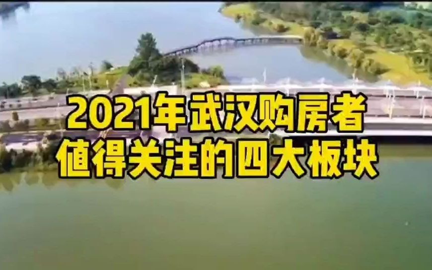 2021年武汉购房者值得关注的四大板块哔哩哔哩bilibili