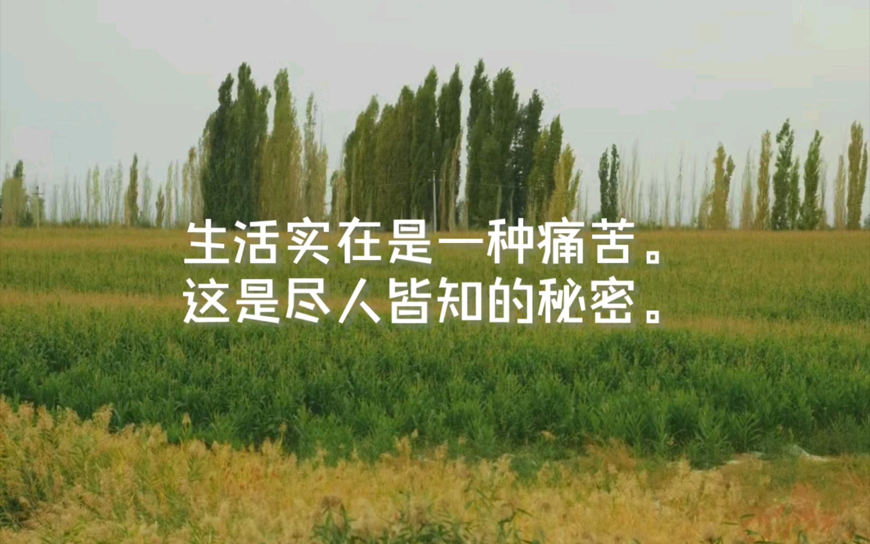 生活,就是悬浮在希望与绝望之间的一种东西.no.21