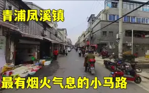 Download Video: 上海青浦凤溪镇发现一条非常接地气的街道，充满了市井烟火气息！