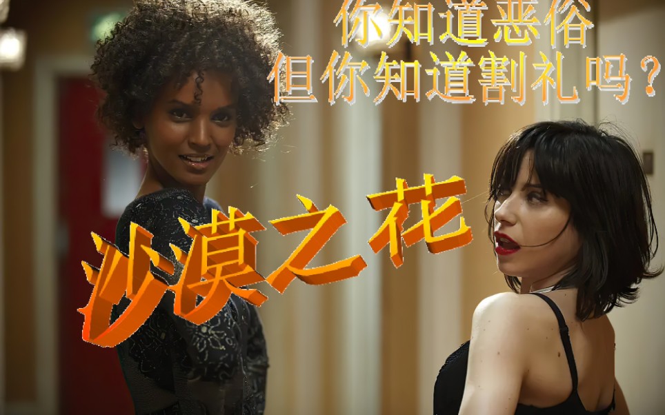 一部真实事件改编最激志的电影《沙漠之花》