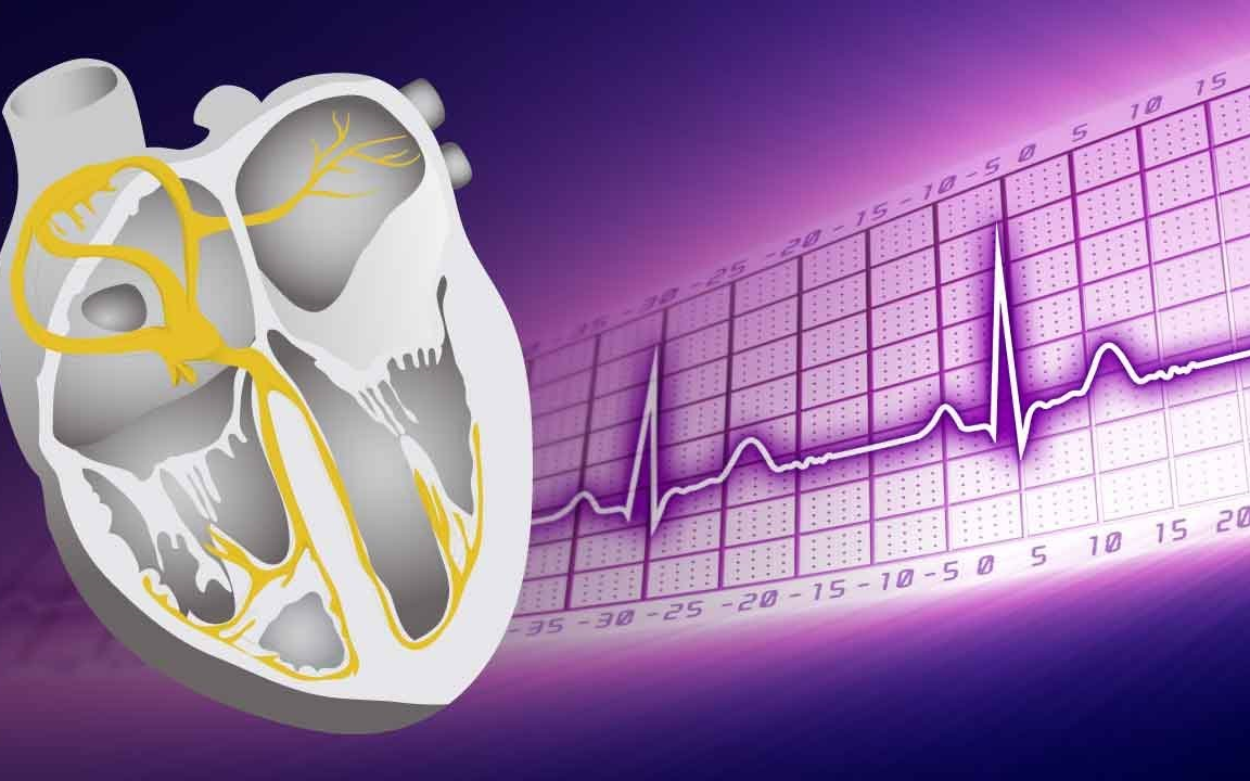 [图]3分钟心电图系列课程 | 双语字幕 | 医学动画 | 医学英语