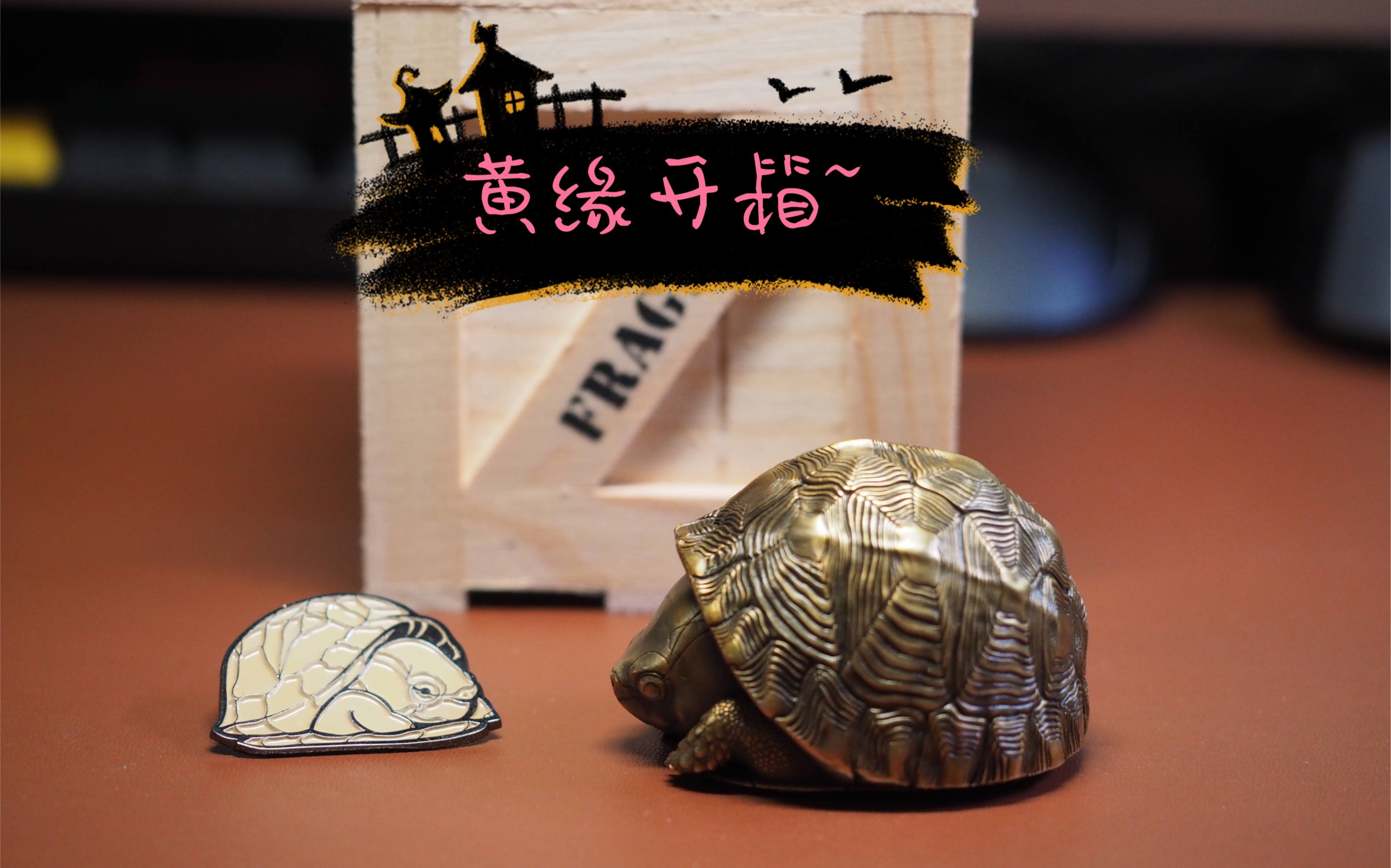空想造物黄缘龟手办开箱既然养不了就买个手办叭