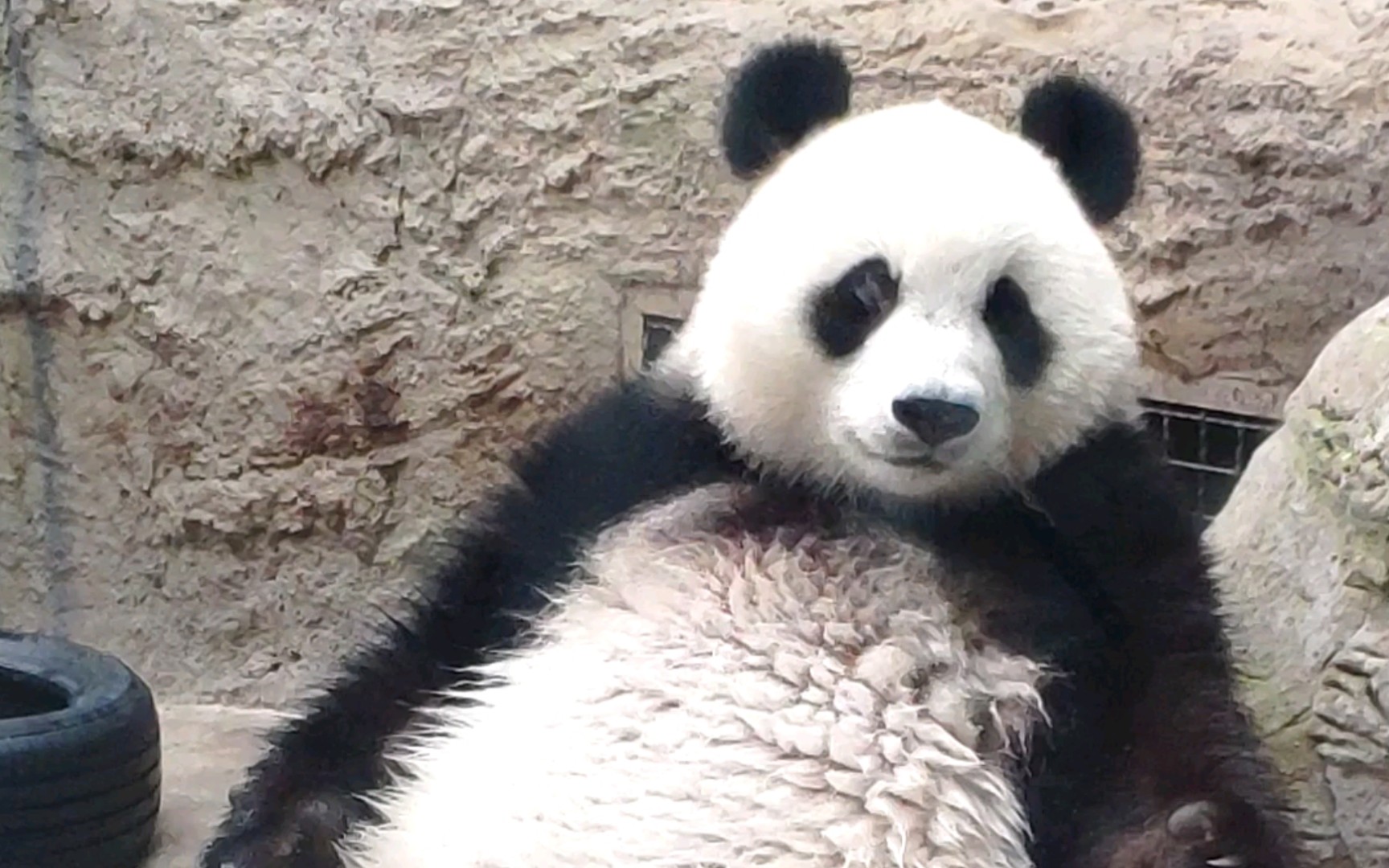 貌美如花眼含星辰的白天小姑娘光是坐在那里就有着