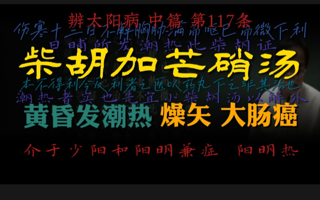 黄昏(日晡)发潮热,阳明热,燥矢,柴胡加芒硝汤,大肠癌清宿便哔哩哔哩bilibili