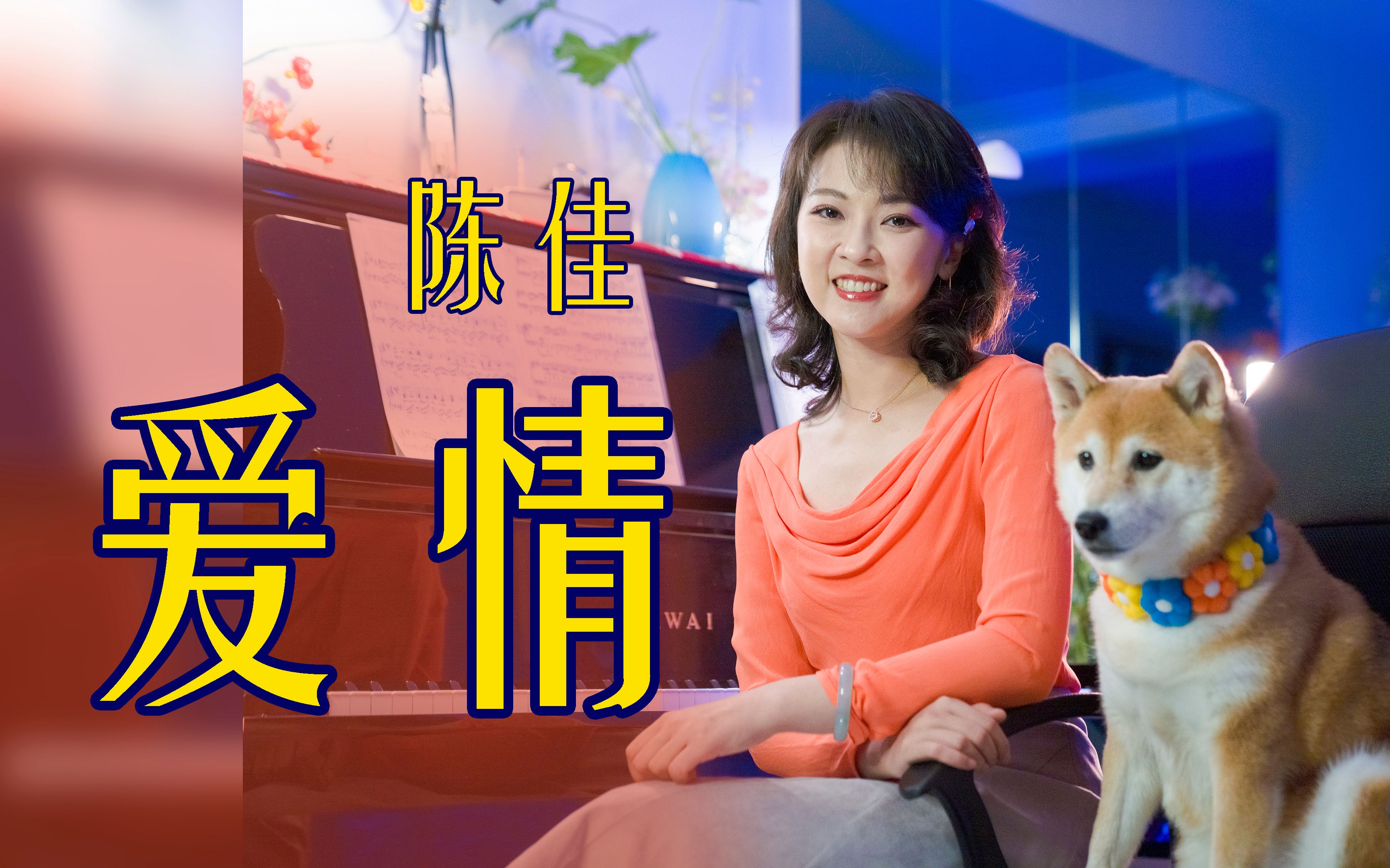 邓丽君翻唱过的刘文正老歌《爱情》| 陈佳&柴犬助演
