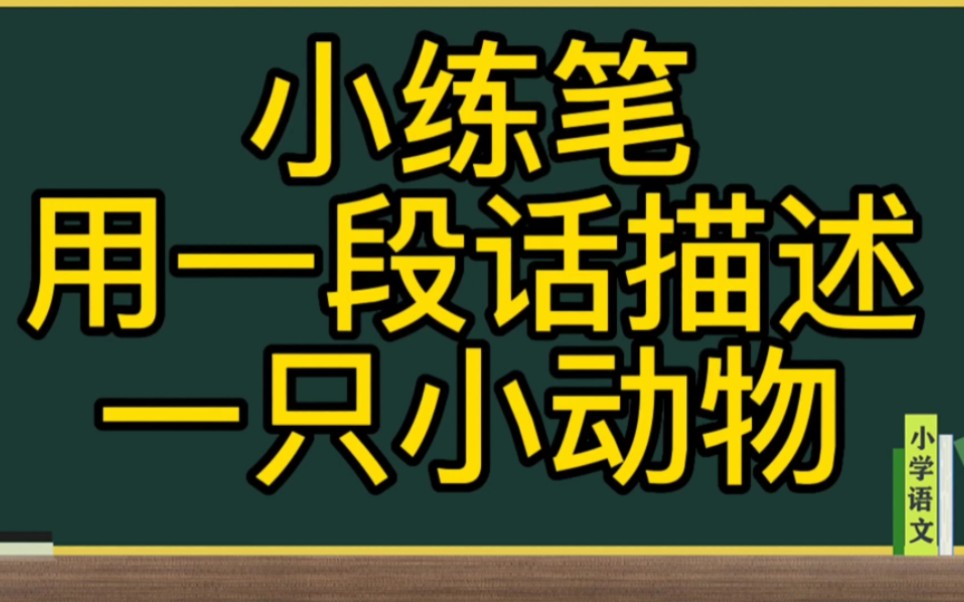 运用动作描写写一段话描述一只小动物哔哩哔哩bilibili