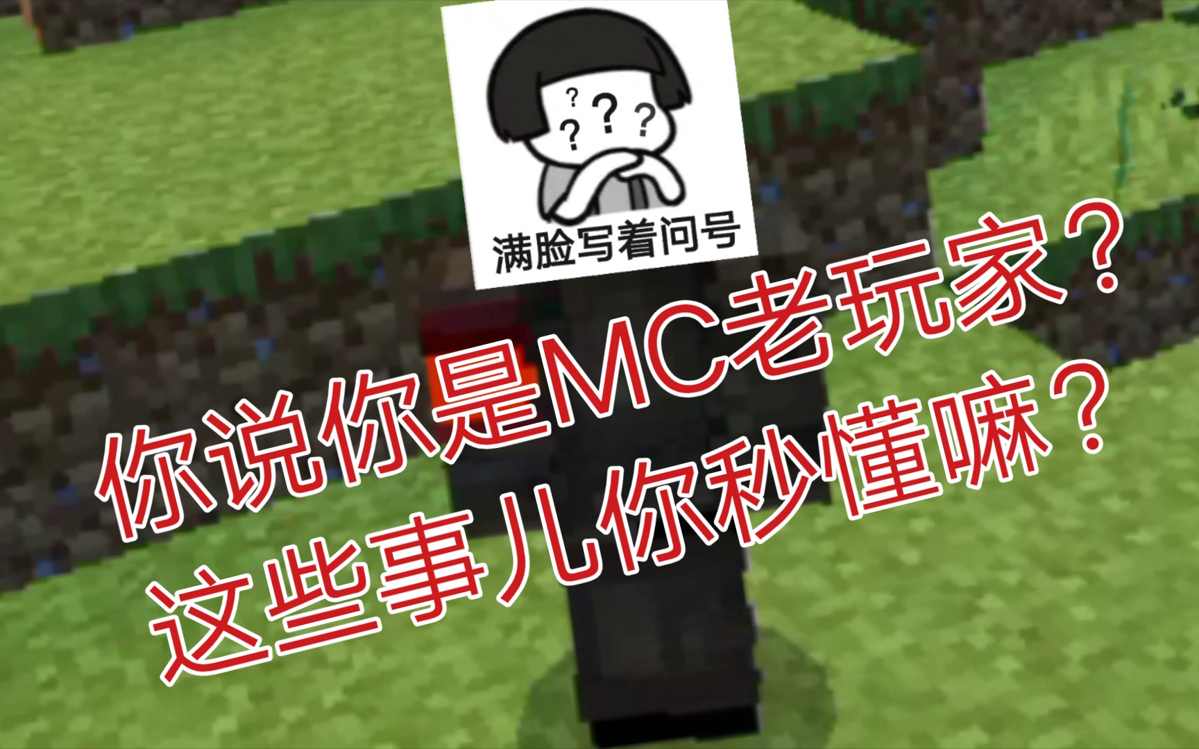 [图]MC玩家都懂的那些事？你秒懂嘛？桑桑/我的世界