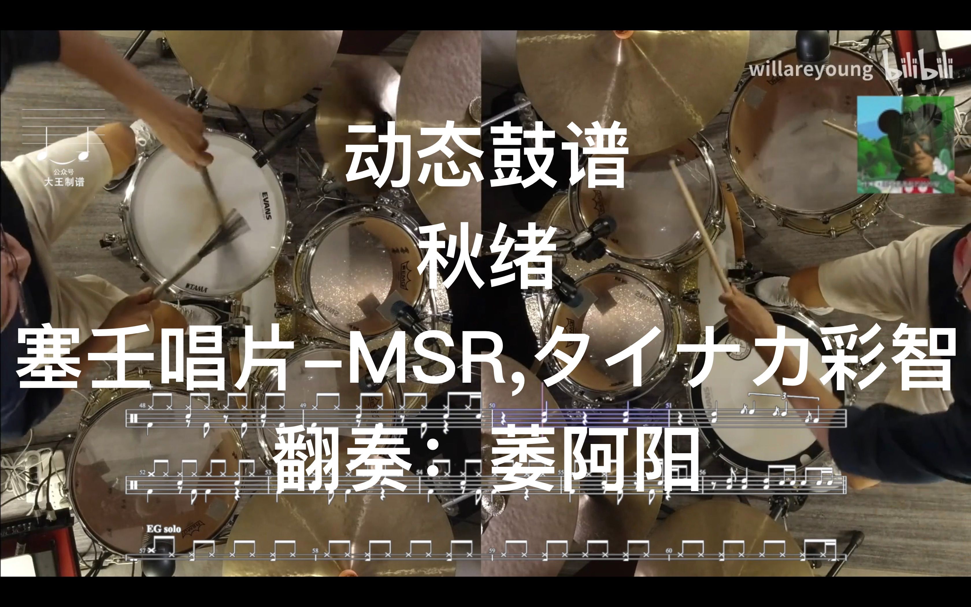 【大王鼓谱】动态鼓谱 秋绪塞壬唱片MSR,タイナカ彩智 covered by willareyoung 萎阿阳哔哩哔哩bilibili