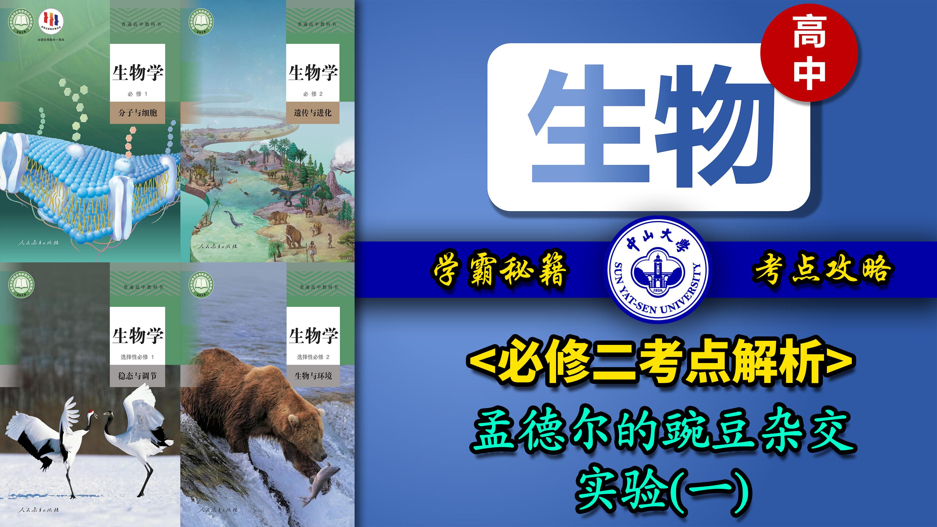 【高中生物】必修二考点解析,孟德尔的豌豆杂交实验(一)