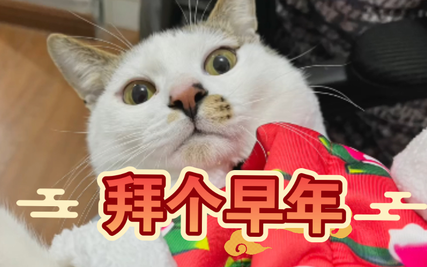 给您拜个早年 B站