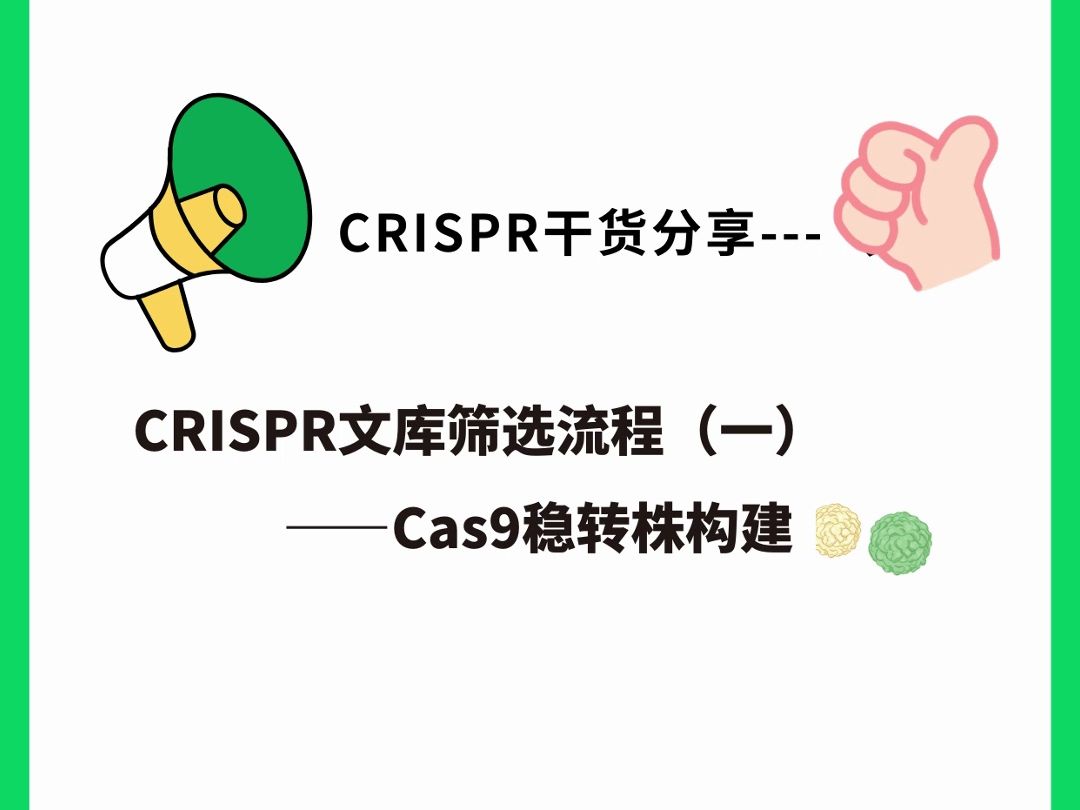 CRISPR文库筛选流程Cas9稳转株构建哔哩哔哩bilibili