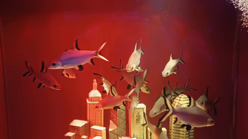 金延安的海洋公园