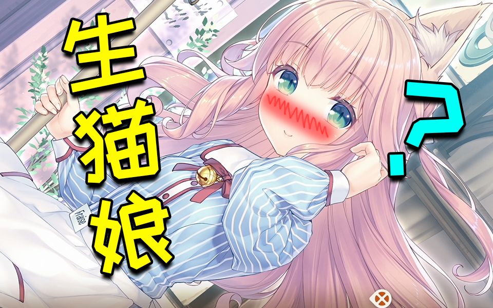 [图]【gal】和猫娘们开启快乐的幸福生活 第3期