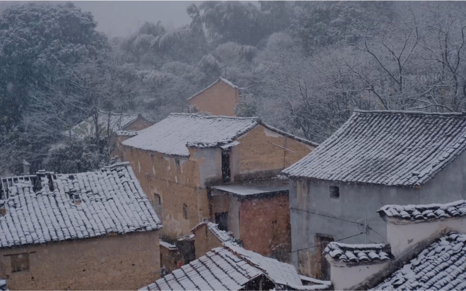 下雪啦❄️金华下起了冬天的第一场雪.如果你刚好也看到下雪,那就当我们见过面吧哔哩哔哩bilibili