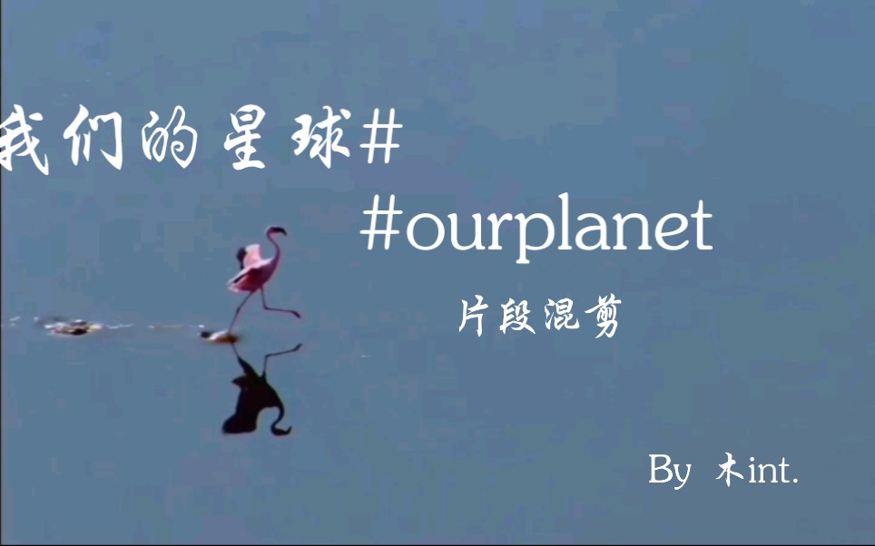 [图]《我们的星球》片段混剪，ourplanet.com