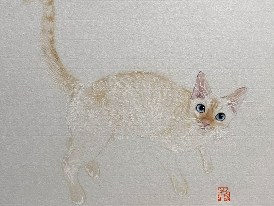 德文卷毛猫真心不好画 国画猫咪的画法哔哩哔哩bilibili