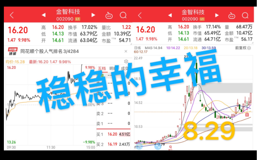 金智科技涨停,稳稳的幸福来咯~哔哩哔哩bilibili