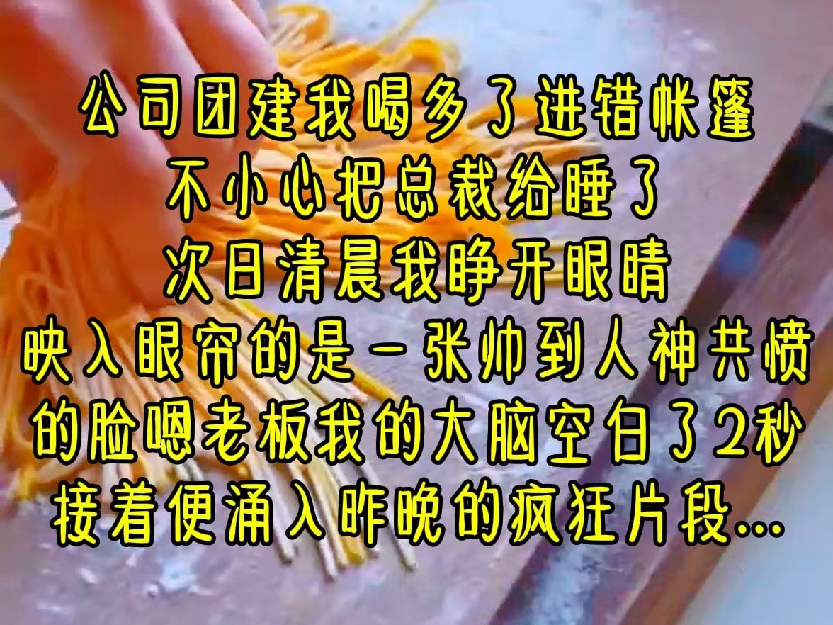 公司团建我喝多了进错帐篷,不小心把总裁给睡了,次日清晨,我睁开眼睛,映入眼帘的是一张帅到人神共愤的脸,嗯老板我的大脑空白了2秒,接着便涌入...